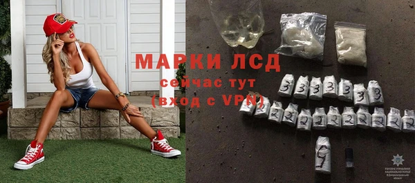 гидра Михайловка
