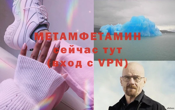 гидра Михайловка