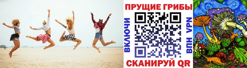 Галлюциногенные грибы Cubensis  купить наркоту  blacksprut   Вихоревка 