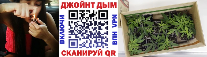 Каннабис сатива  купить наркотик  Вихоревка 